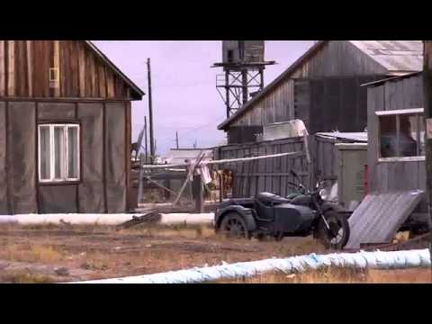 Forscher   Mammut wird zum Leben erweckt Doku deutsch