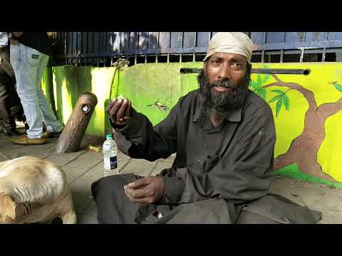 The MadMan of Bandra and his Dog