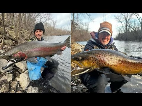 Top 4 Baits for Spring Browns & Steelhead