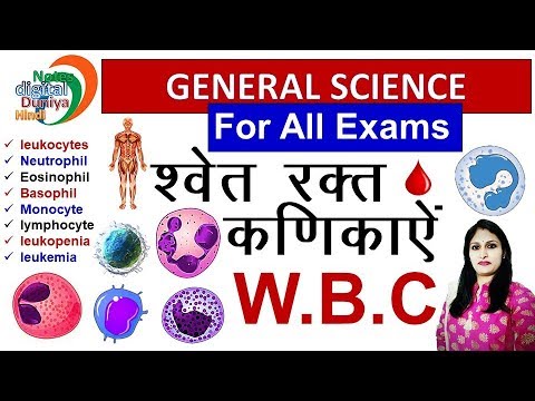 श्वेत रक्त कणिका | White Blood Cell by Neha Ma'am | WBC | General Science Video