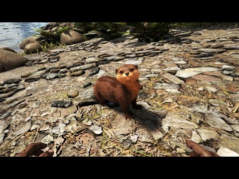 *ARK* Otters Spawn Location Ragnarok