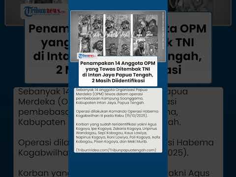 Daftar 14 Anggota OPM yang Tewas Ditembak TNI dalam Operasi di Intan Jaya, 2 Masih Diidentifikasi