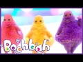 Videos For Kids Boohbah Squeaky Socks Episode 8 Funny Videos For Kids Animation