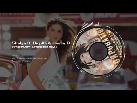 Shalya Feat. Big Ali & Heavy D - In The Party (DJ Tune Cee Remix) | R&D Corporation