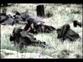 These Colours Dont Run - Music Video