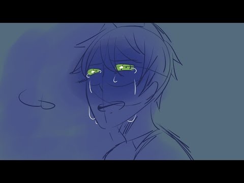 VENGEFUL CAT IN THE NIGHT //Miraculous LadyBug Animatic//