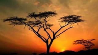 Lesiem - Africa