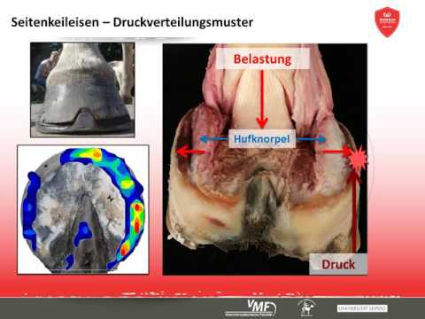 Werkman Accademy Video 4
