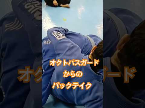オクトパスガードからバックテイク　#bjj #jiujitsu