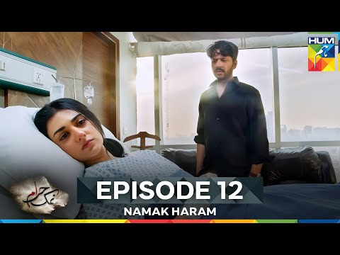 Namak Haram Episode 12