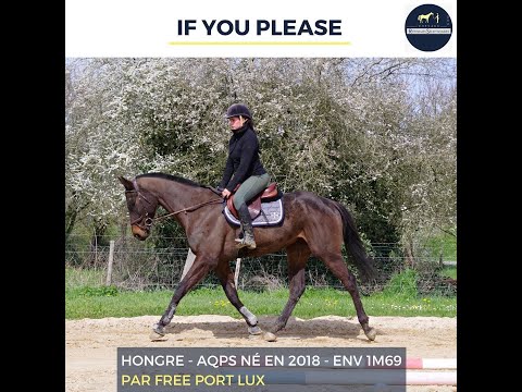 Gentil AQPS de 5 ans -  IF YOU PLEASE