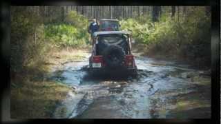 preview picture of video 'Lake City March 2012 ,Osceola Forest'