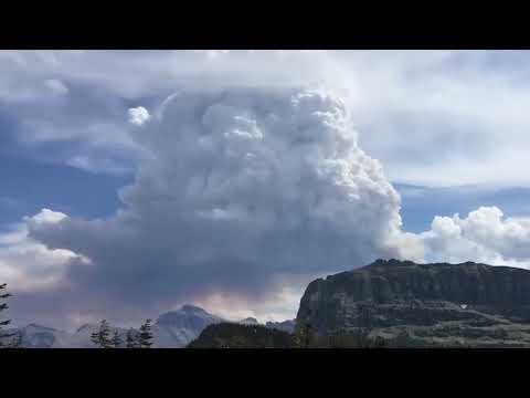 ALAN WATTS   GET OUT OF YOUR OWN WAY 🍀🍀🍀