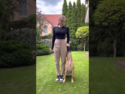 Aufbau Grundstellung ￼Hund