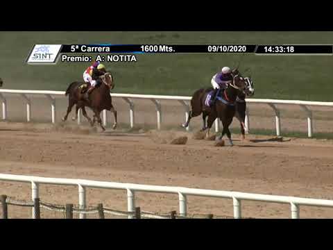 201009 c05 - MASTRO BOY 1° - SINT PAYSANDU