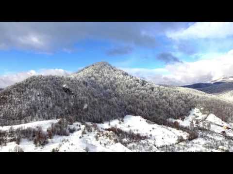 Forest During Winter In Baia Sprie - Maramures