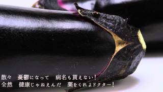ノータリン・ノーリターン / みどりの日 feat. 重音テト