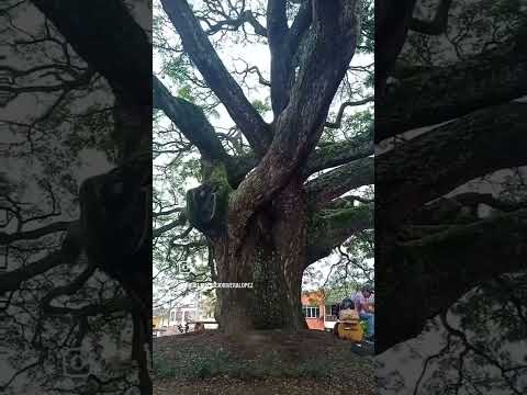 Parroquia Parque Central Alcalá Valle del Cauca