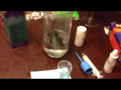 Hidden source of phosphates (in reef system)