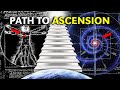 You Were Never Human The 12 Stages From Hue Man To Pure CONSCIOUSNESS NO BS