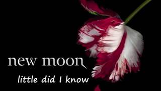 my New Moon Soundtrack #12-Again-Natasha Bedingfield -w subtitle lyrics