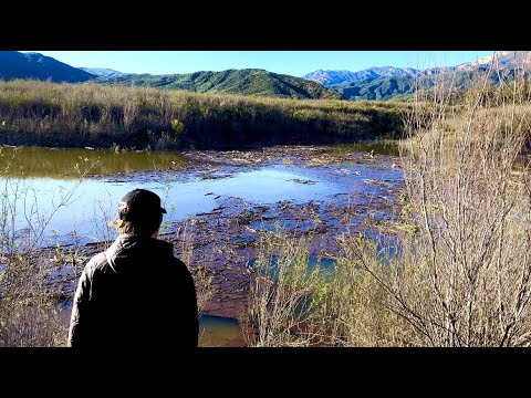 What Is The Water Level At Lake Casitas