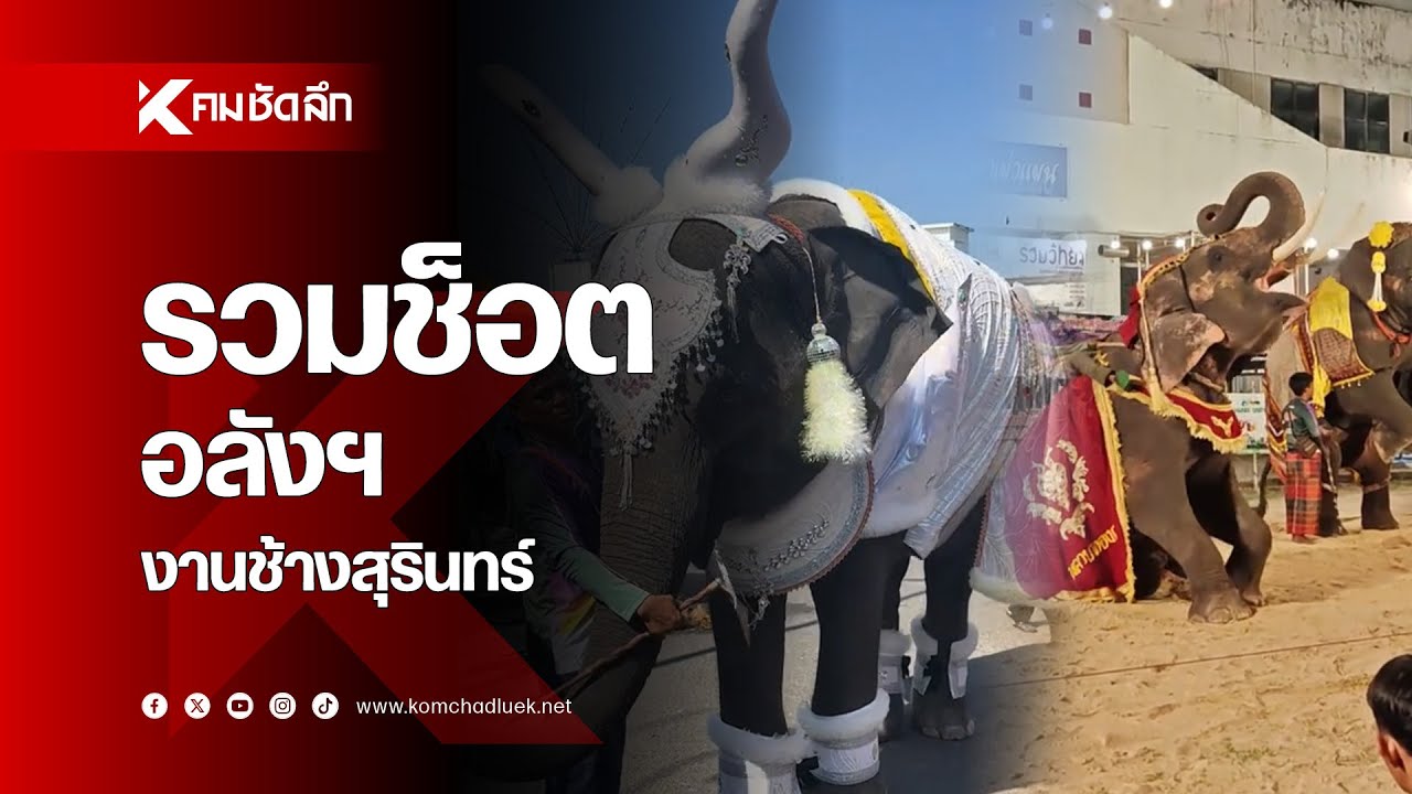 สุดจึ้ง รวมช็อตอลังฯ มหัศจรรย์งานช้างสุรินทร์