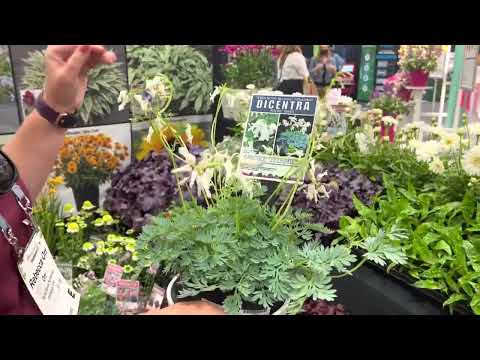 New Plants for 2023! From Terra Nova Nurseries