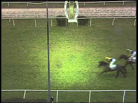 Galoppo 18/01/2015 - 2° corsa