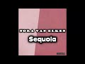 Nora Van Elken - Sequoia (Official Audio)