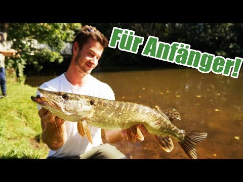 Pike fishing for beginners - what you need to know!