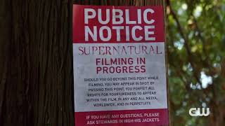 [閒聊] 明日傳奇第5季新預告