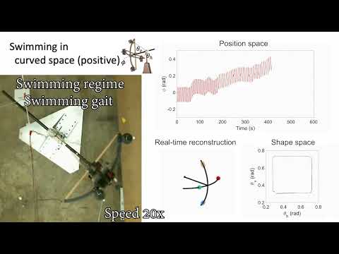 Robotic swimming in curved space via geometric phase