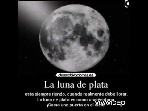 ozu x fat skuru - luna de plata 2017 probando studio