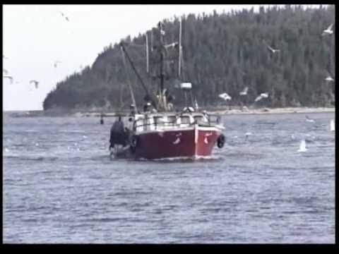 Une veillée chez les Cayens -  Albert Babin