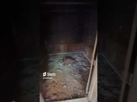 1800s Smokehouse at Landrums