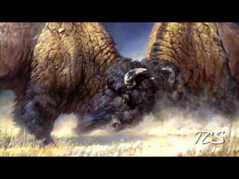 Nancy GlazierRolling Thunder By Nancy Glazier