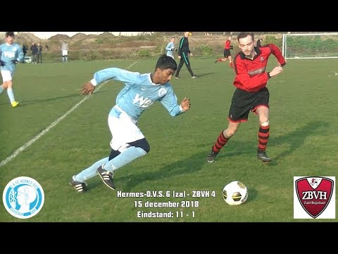 Samenvatting Hermes-D.V.S. 6 - ZBVH 4