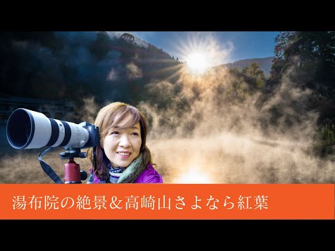 ¡Esta es una visita obligada! Niebla matutina en Yufuin ~ ♪ Monte Takasaki de los Monos [Últimas hojas de otoño]