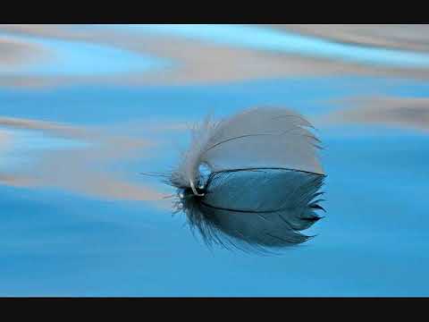 PAUKŠTELIAI   Gintarė Jautakaitė