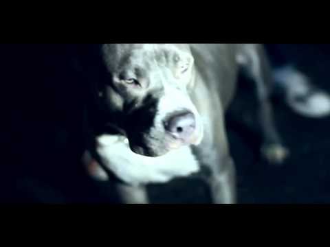 Phora x Eskupe   Fuck You Official Music Video