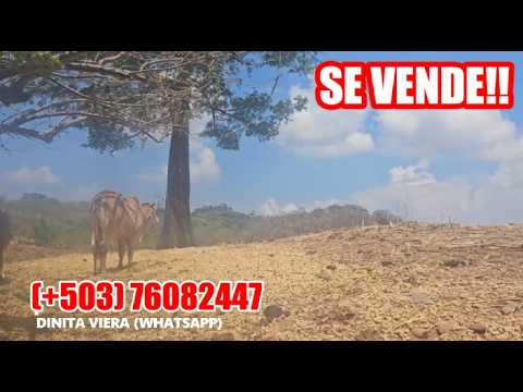 53 MANZANAS EN EL PAISNAL CON PRECIOSA VISTA PANORÁMICA Y NACIMIENTO 