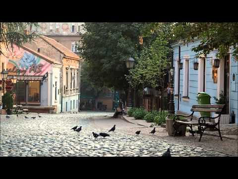 Dusan Mandic Sejn - Trebinjska u Beogradu