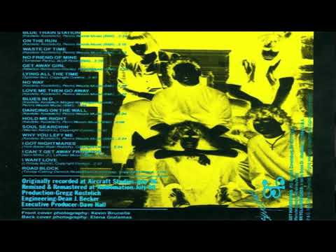 The Cynics -  On the Run