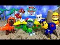 PAW PATROL CAT RESCUE AT THE BEACH WITH CHASE ZUMA RUBBLE MARSHALL