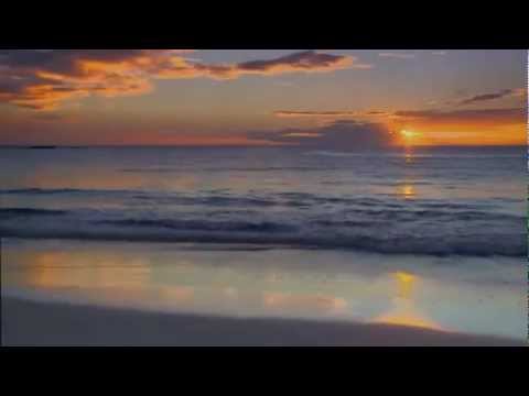 Fragile - George Skaroulis