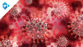 Vitamin D-Mangel und Infektionskrankheiten: COVID 19 | Priv.-Doz. Dr. Karin Amre