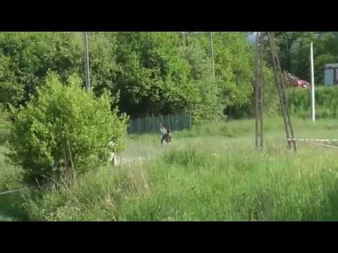 1 SJS MaxiOes5 Czernichów 2014   Karczewski Dziura