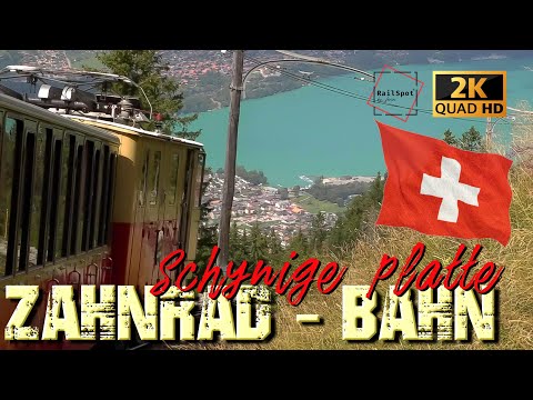 ZAHNRAD " SCHYNIGE PLATTE BAHN "