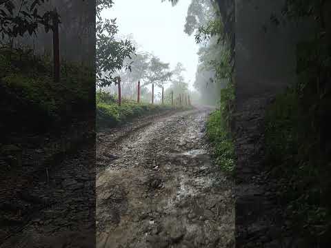 La inmensidad de Cerro El Castillo | Calarcá, Quindío 4K ⛰️✨